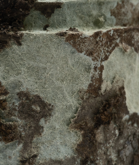 Sustainability without compromise