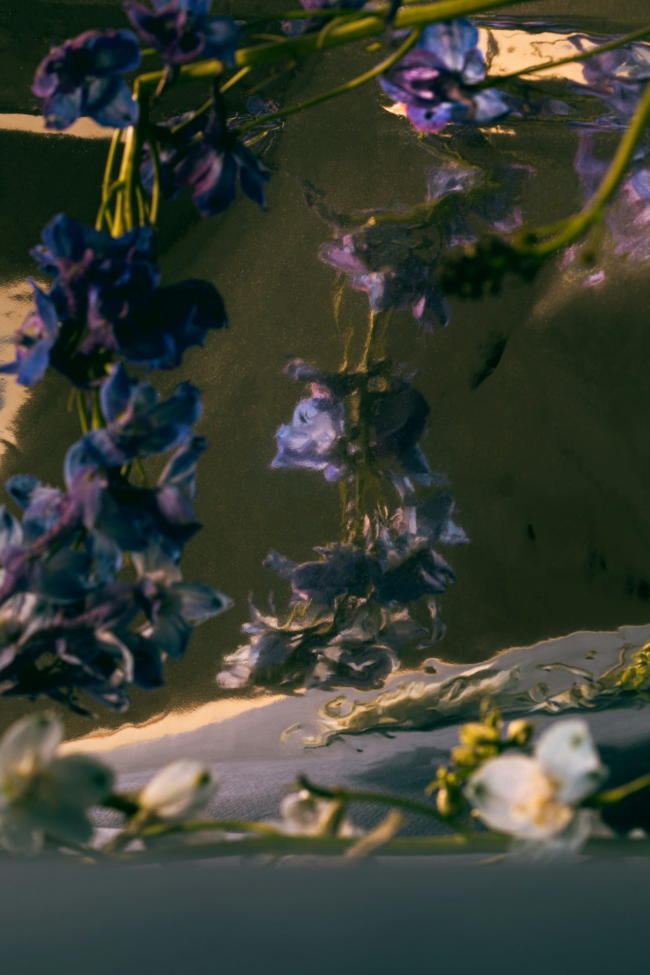 Calming purple flowers representing neuro-cosmetic skincare for confidence and wellness