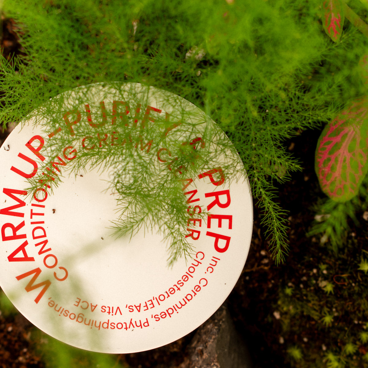 warm up in a green plant background