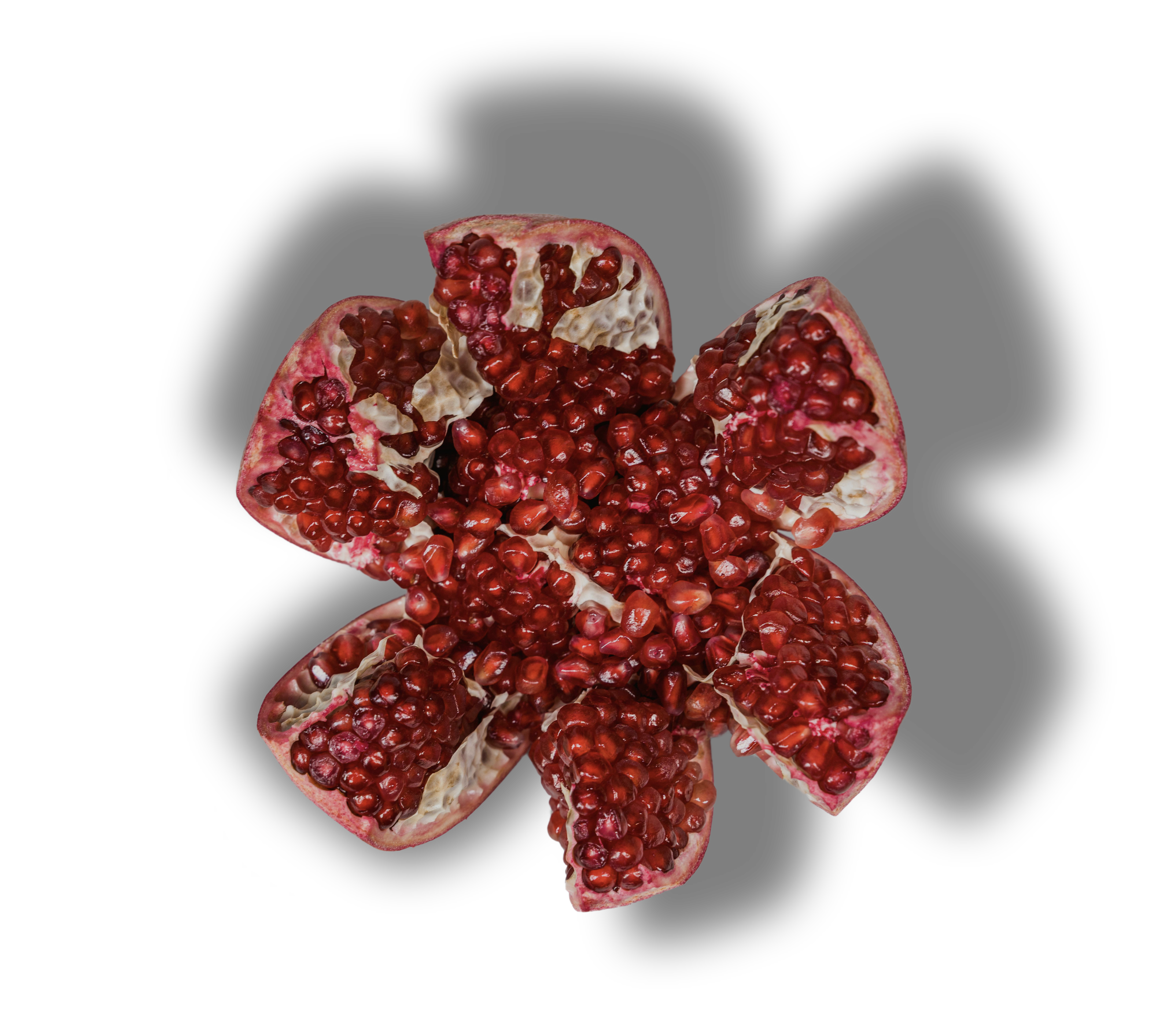 Pomegranate-derived prebiotic protecting skin's natural sun
microbiota barrier