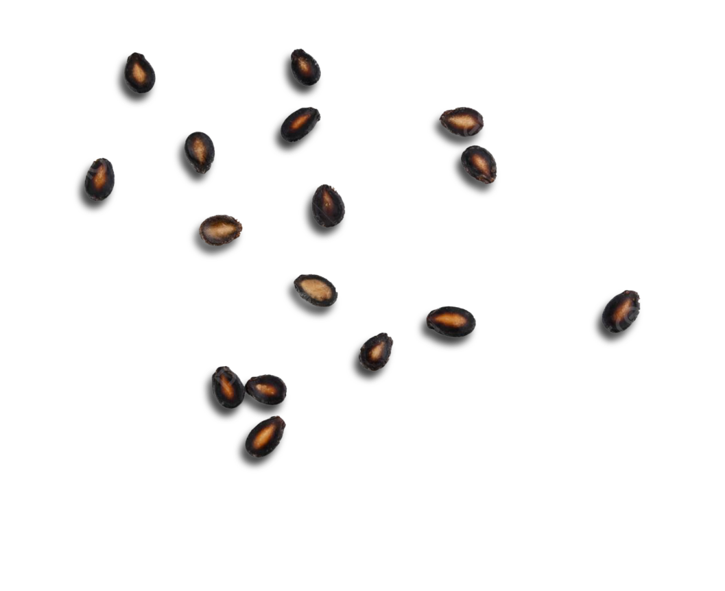 Biotechnology skincare seeds creating nature-identical sustainable ingredients