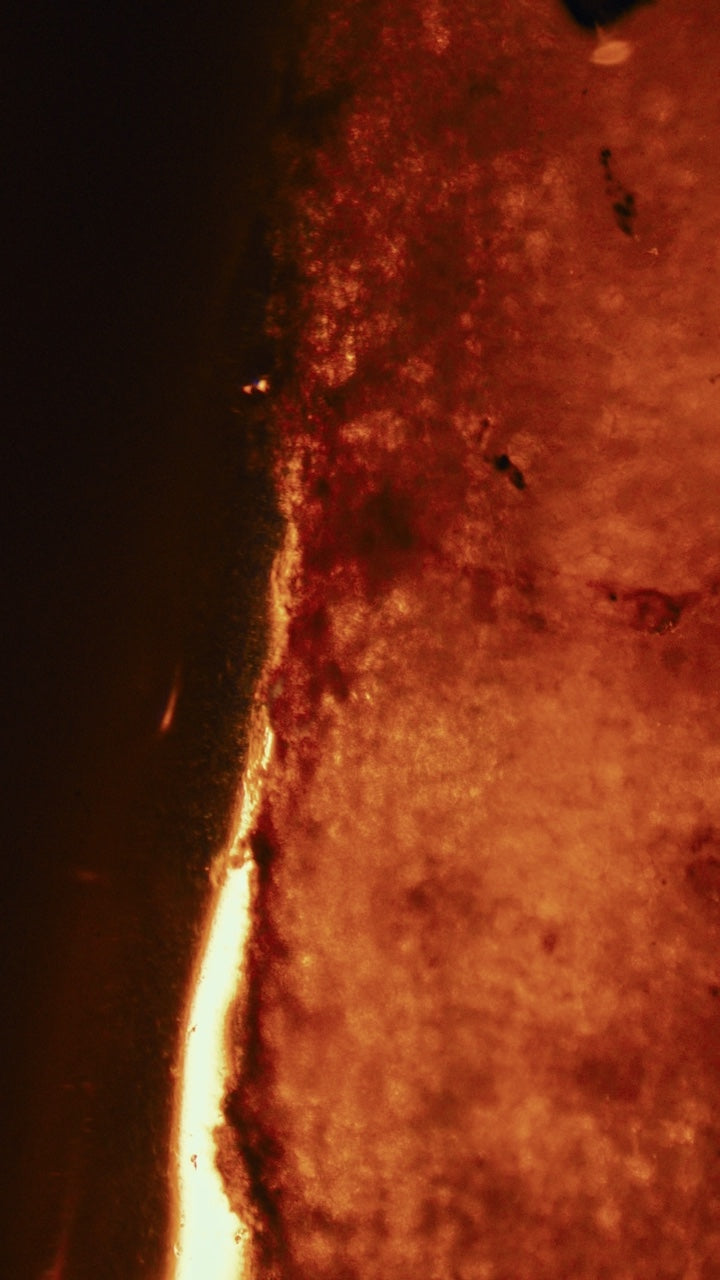 Biotech skincare + beyond