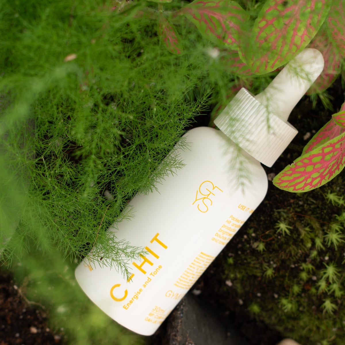 C-HIT surrounded by plants 