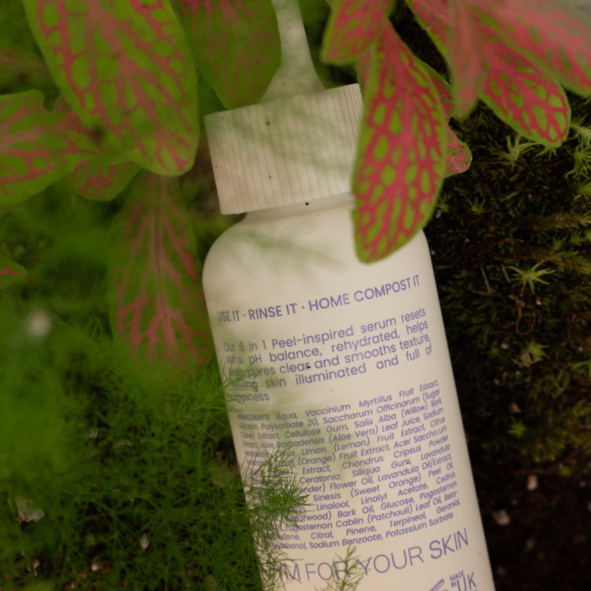 REBOOT on a green leafy background