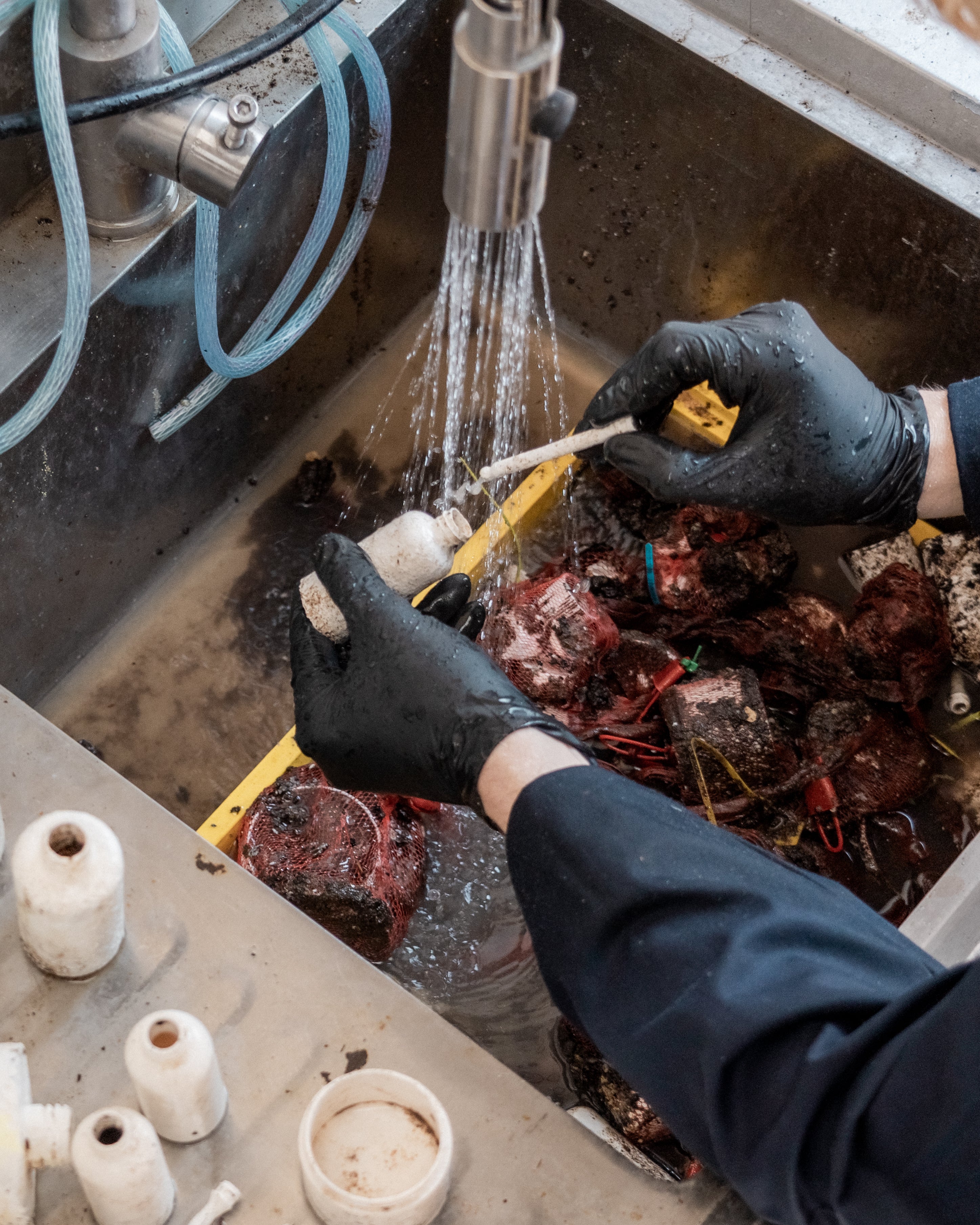 Rinsing empty compostable skincare jar before home composting.